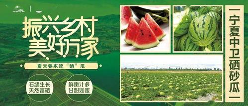 怎么获得吃瓜渠道,如何轻松获取最新吃瓜资讯的独家渠道