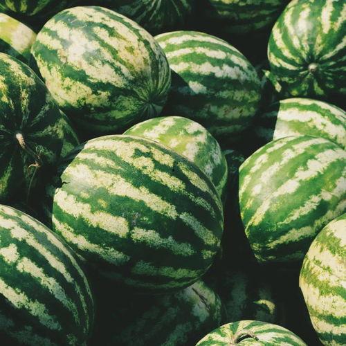 公园前吃瓜,一场热闹非凡的吃瓜盛宴